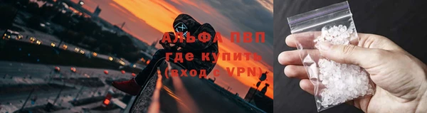 стаф Абаза