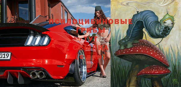 стаф Абаза