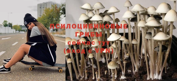 стаф Абаза