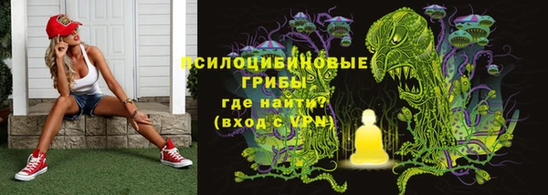 стаф Абаза