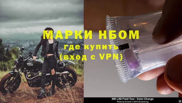 стаф Абаза
